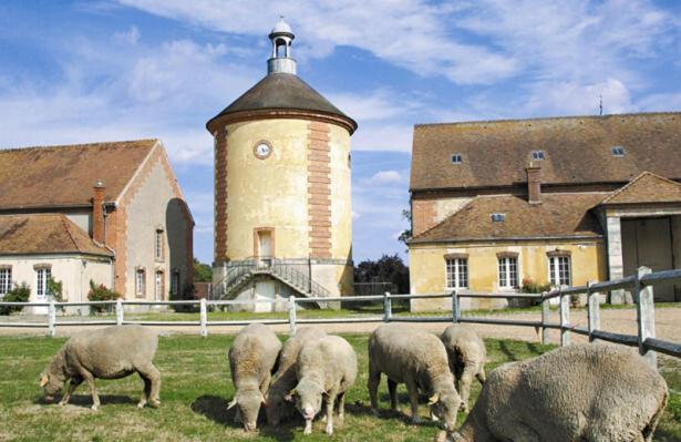 Cottage Au Coin Du Feu Rambouillet Dış mekan fotoğraf